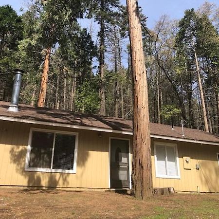 Sequoia National Forest Cabinm Panorama Heights Экстерьер фото