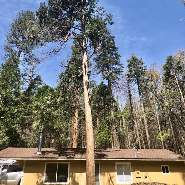 Sequoia National Forest Cabinm Panorama Heights Экстерьер фото